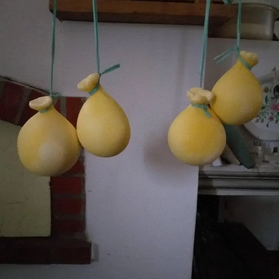 Séjour à la ferme Agriturismo Funtan'Arva Loculi